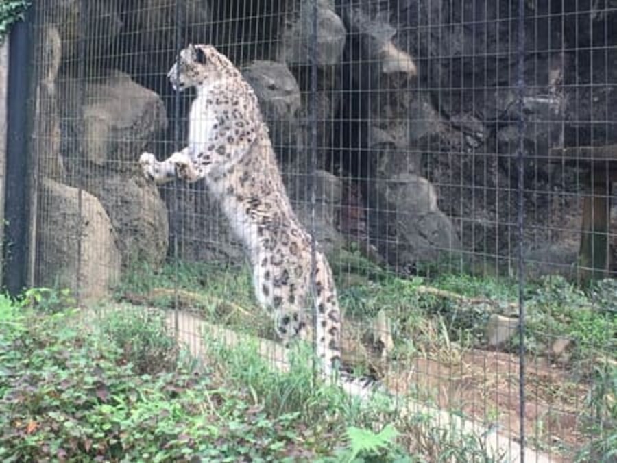 動物園