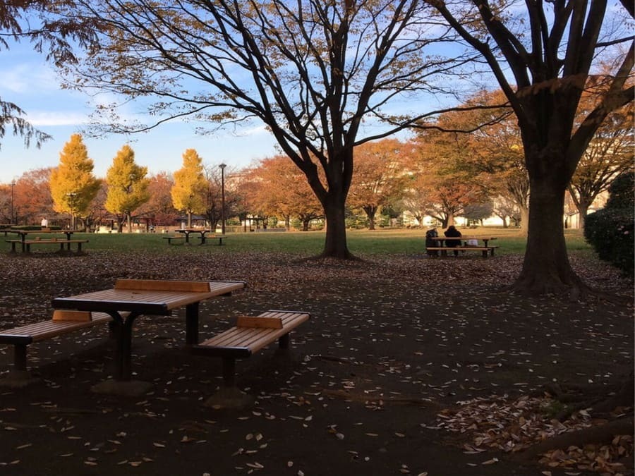 公園