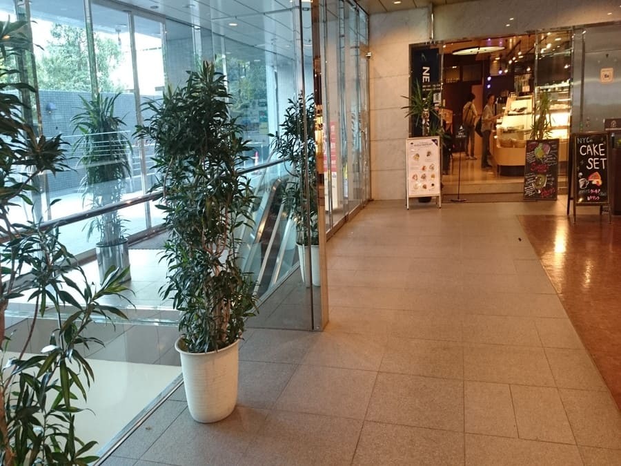 ランチ
